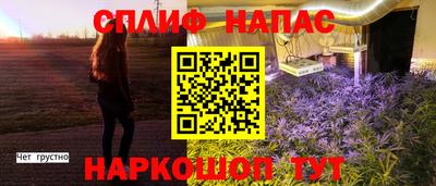 гидропоника Бузулук