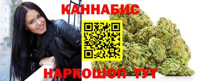 крисы Будённовск