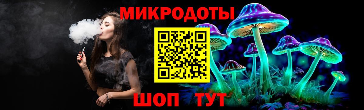 Галлюциногенные грибы Psilocybe Красноармейск